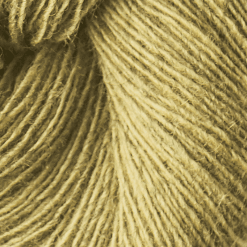 Isager Spinni (100g)