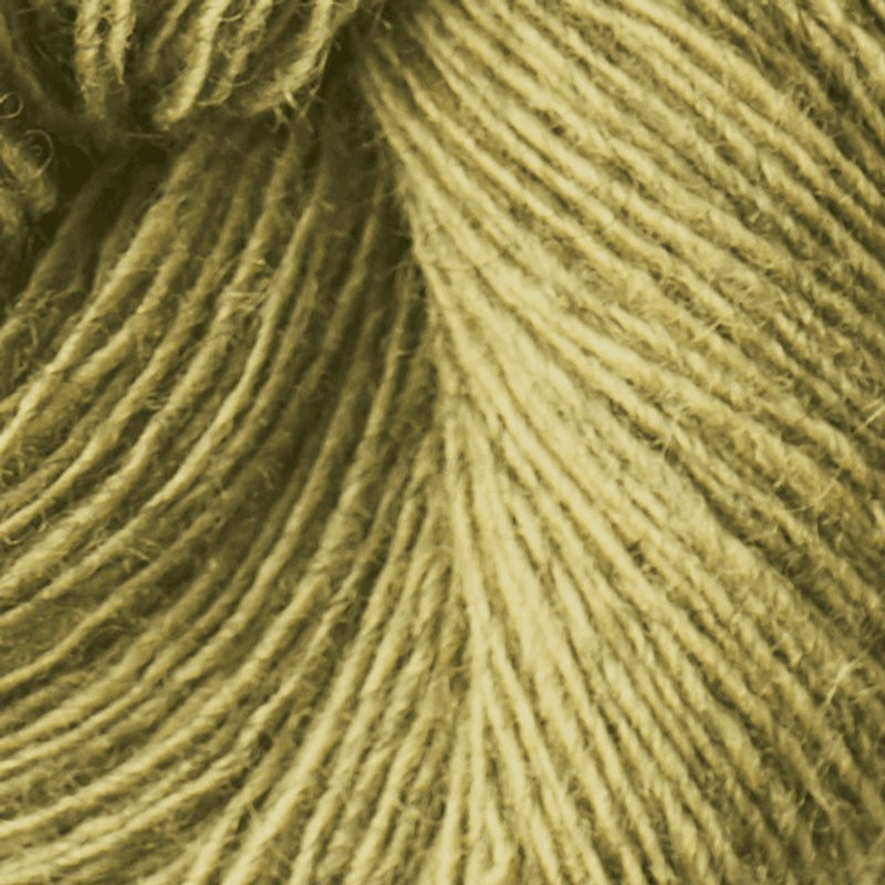 Isager Spinni (100g)